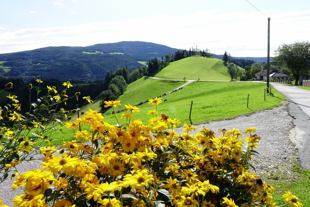 Ferienwohnungen Perhofer Birkfeld 外观 照片
