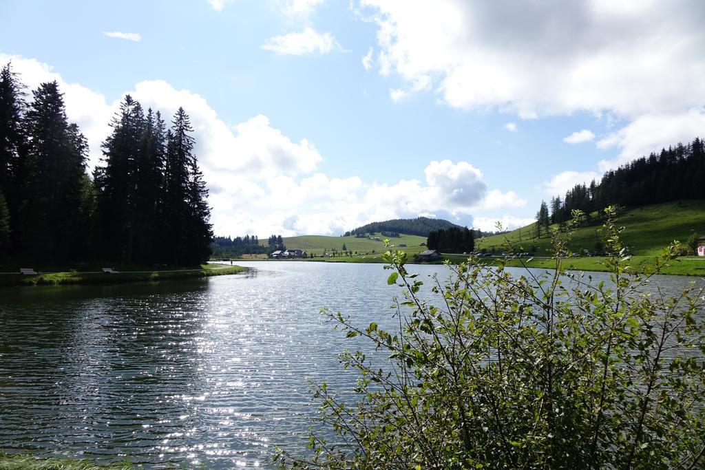 Ferienwohnungen Perhofer Birkfeld 外观 照片