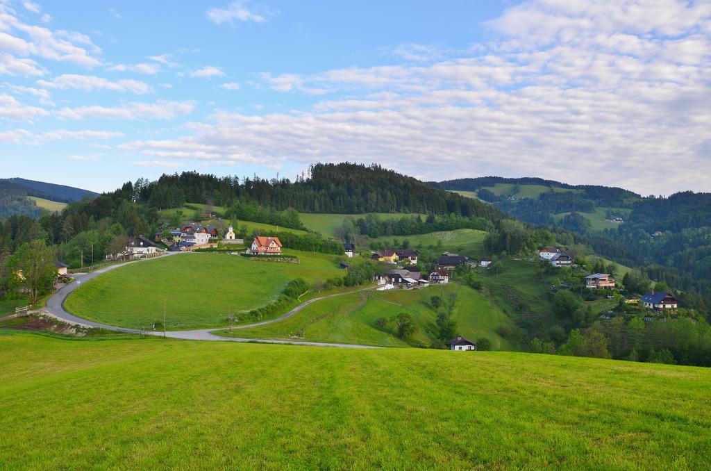 Ferienwohnungen Perhofer Birkfeld 外观 照片